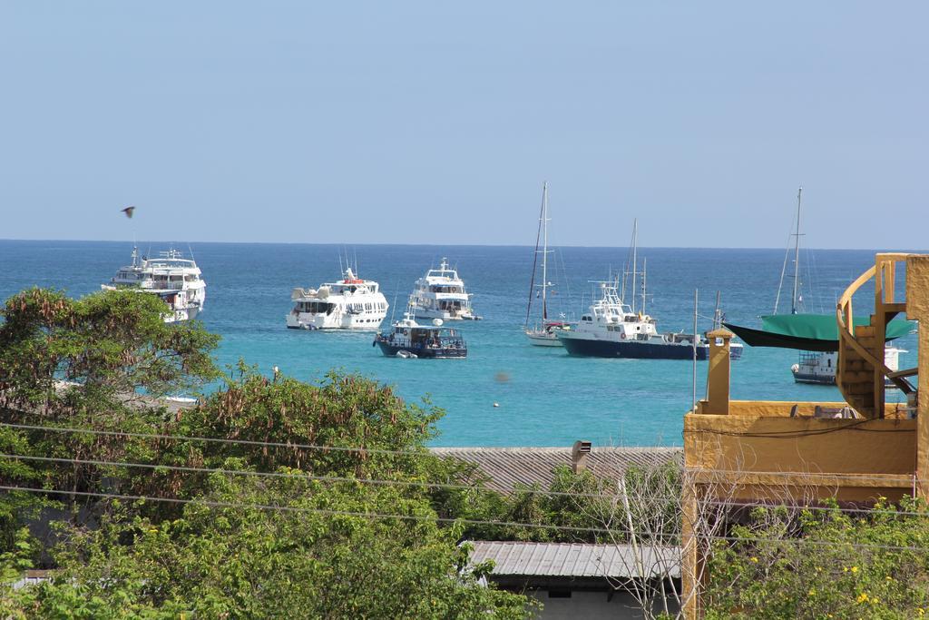 The Galapagos Pearl B&B Puerto Ayora  Szoba fotó