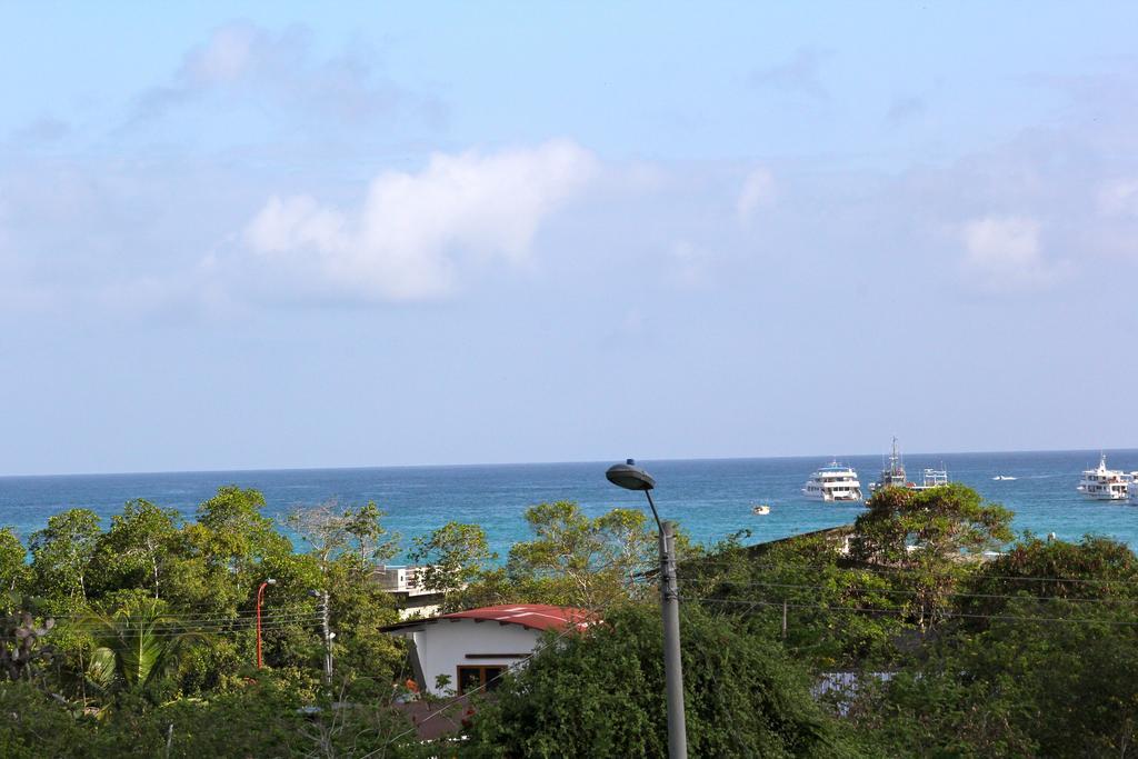 The Galapagos Pearl B&B Puerto Ayora  Szoba fotó